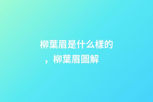 柳葉眉是什么樣的，柳葉眉圖解